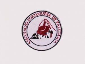 Logotipo Falcoria