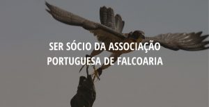 Ser sócio da Associação Portuguesa de Falcoaria