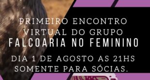 Cartaz encontro Grupo Feminino Associação Portuguesa de Falcoaria