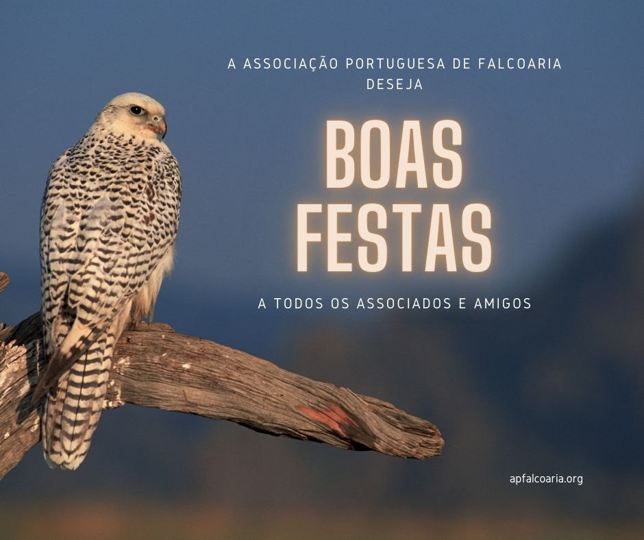 Boas festas da Associação Portuguesa de Falcoaria