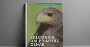 Ebook falcoaria um primeiro olhar