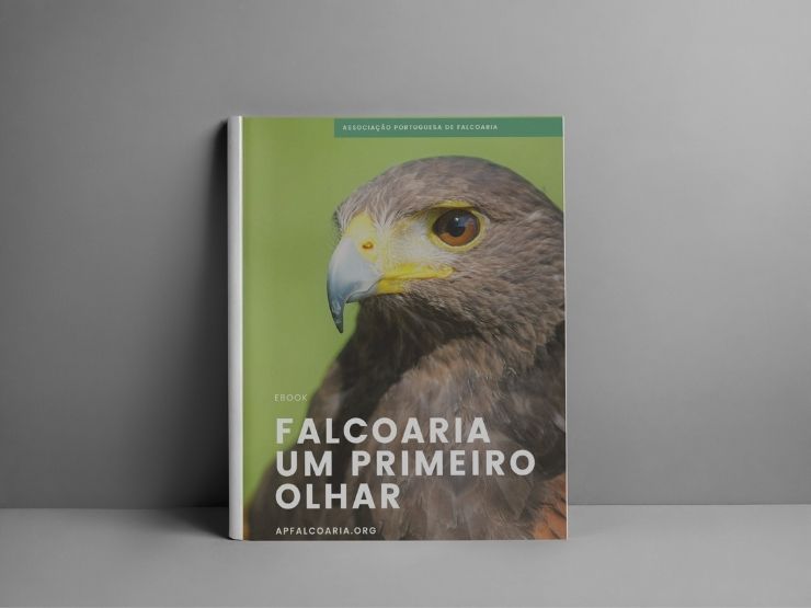 Ebook falcoaria um primeiro olhar
