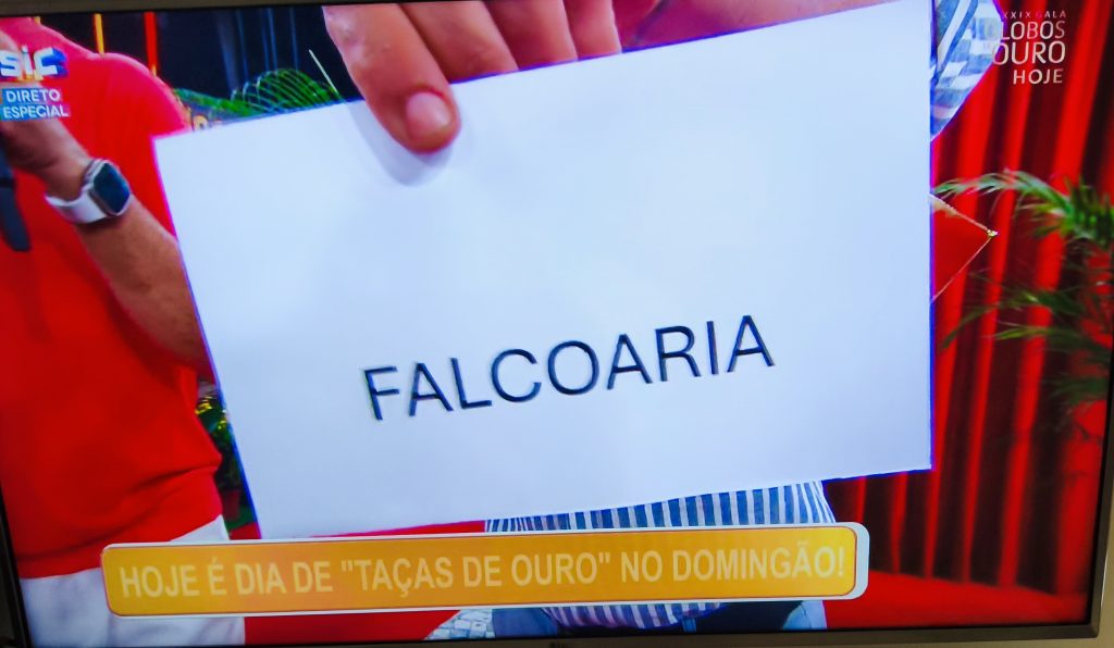 A APF esteve no programa Domingão da SIC