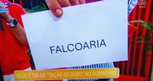 A APF esteve no programa Domingão da SIC