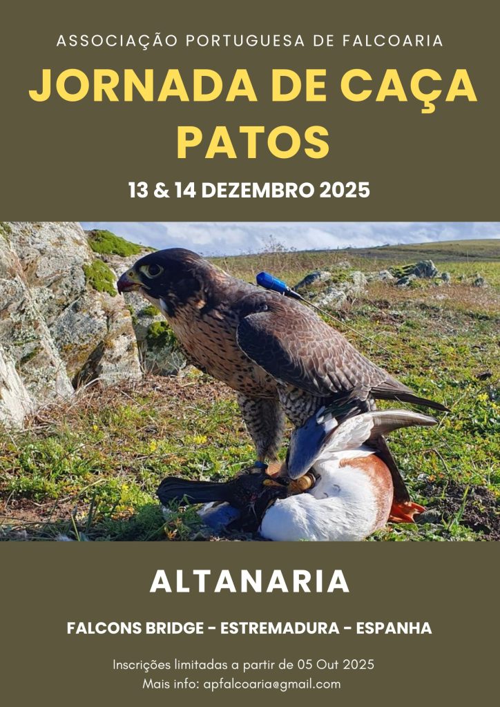 Jornada de caça aos patos de altanaria