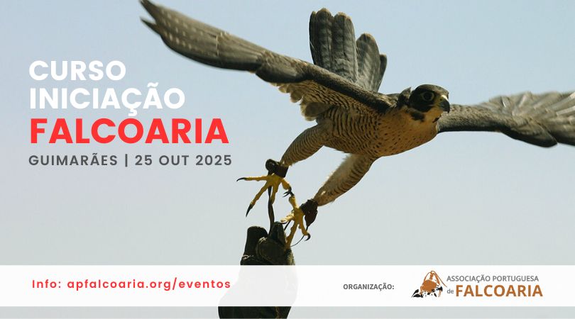 Curso de Iniciação à Falcoaria - Guimarães, 2025