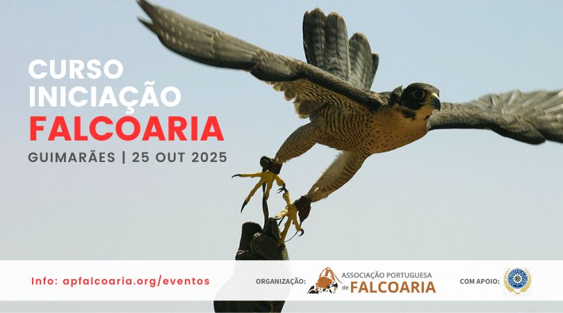 Cartaz curso de iniciação APF norte