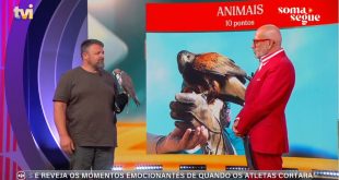 Participação APF no programa Soma e Segue da TVI