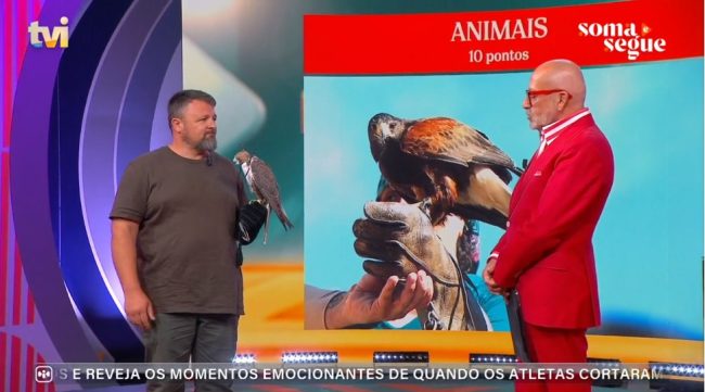 Participação APF no programa Soma e Segue da TVI