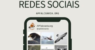APF está no Facebook e Instagram