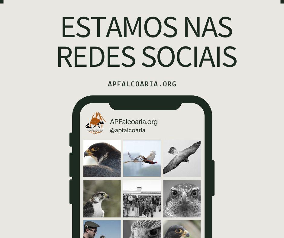APF está no Facebook e Instagram