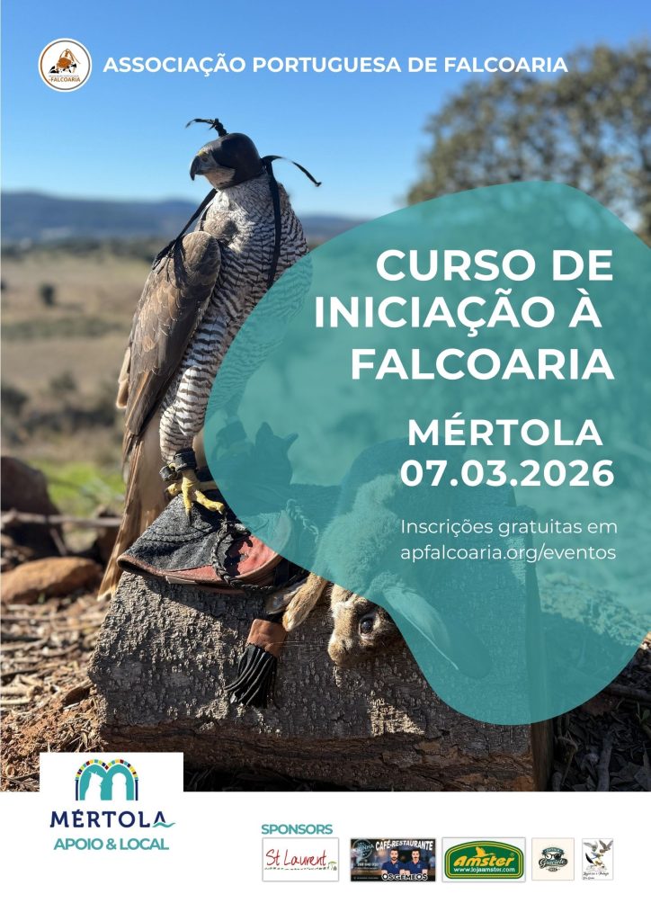 Cartaz do Curso de Iniciação à Falcoaria 2026 que será realizado em Mértola pela APF
