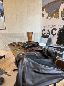 Curso de Iniciação à Falcoaria em Mértola 2026