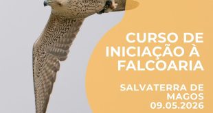 Curso de iniciação à falcoaria - Salvaterra de Magos, 09 maio 2026
