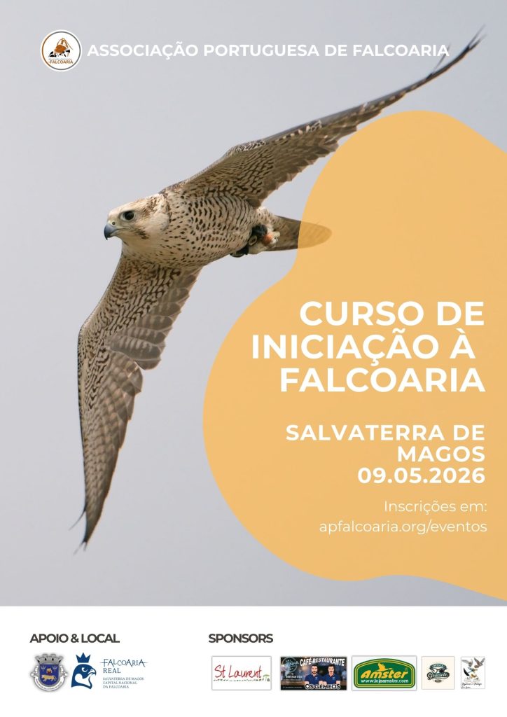 Curso de iniciação à falcoaria - Salvaterra de Magos, 09 maio 2026