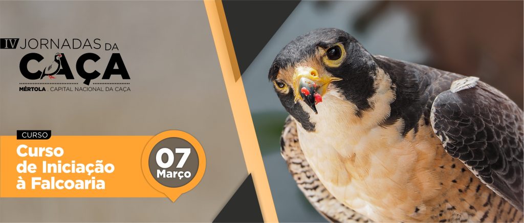 Mértola acolheu o Curso de Iniciação à Falcoaria pela primeira vez