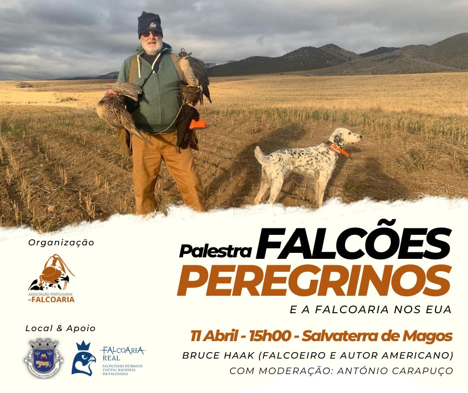 Palestra Falcões Peregrinos e Falcoaria nos EUA com Bruce Haak