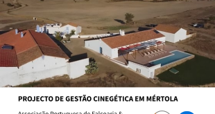 No projecto de gestão cinegética em Mértola