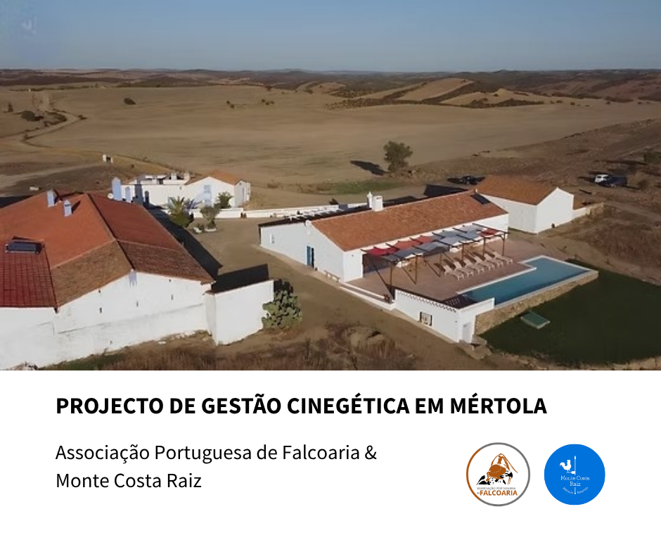 Novo projecto cinegético em Mértola