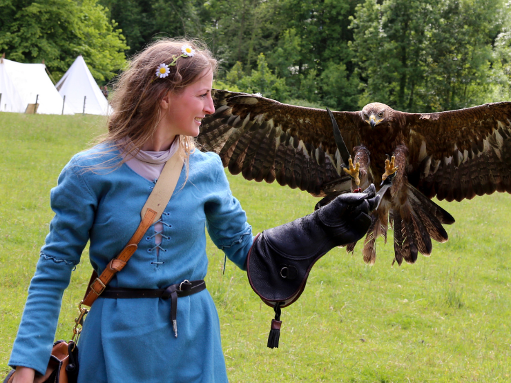 Demonstração medieval com aves de rapina