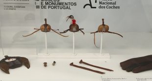 Falcoaria na rota dos museus