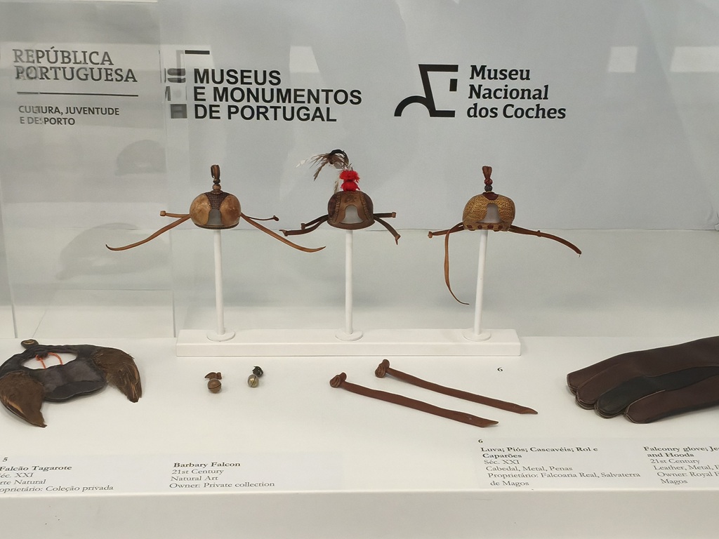 Falcoaria na rota dos museus