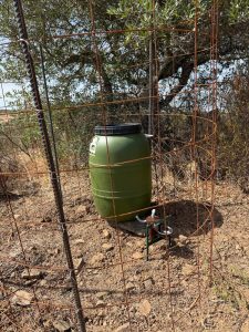 Intervenção de melhoria do habitat para a caça de falcoaria no Monte Costa Raiz - APF