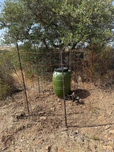 Intervenção de melhoria do habitat para a caça de falcoaria no Monte Costa Raiz - APF