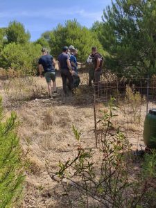 Intervenção de melhoria do habitat para a caça de falcoaria no Monte Costa Raiz - APF