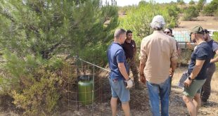 Intervenção de melhoria do habitat para a caça de falcoaria no Monte Costa Raiz - APF