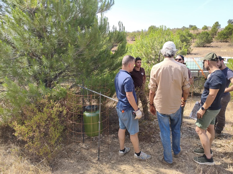 Intervenção de melhoria do habitat para a caça de falcoaria no Monte Costa Raiz - APF