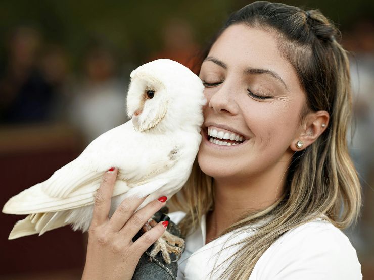 Manter uma aves de presa apenas como animal de estimação acarreta riscos
