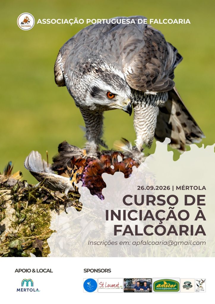 Curso de iniciação à falcoaria - Mértola