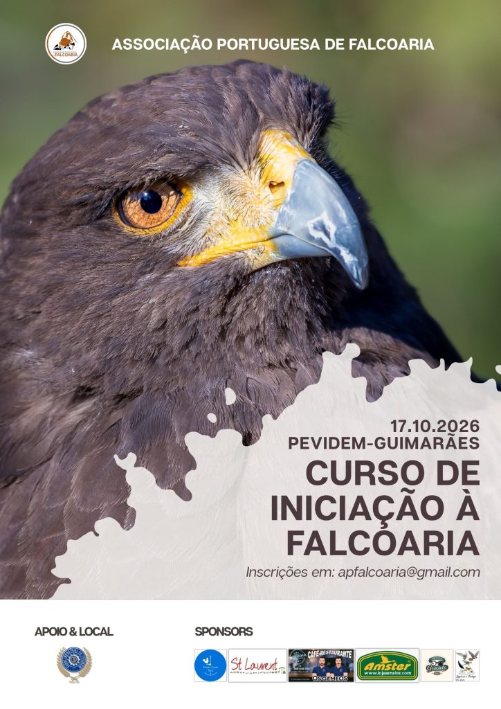 Cartaz Curso de Iniciação Falcoaria - Outubro 2026 - Guimarães