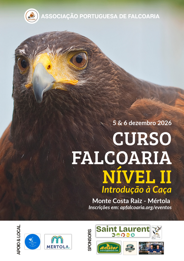 Cartaz curso de iniciação à falcoaria nível II