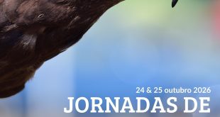 Cartaz das jornadas de caça de baixo voo APF Mértola 2026