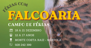 Campo de férias falcoaria - Mértola, 18 a 21 dezembro