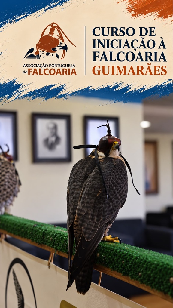 Curso de Iniciação à Falcoaria - Zona Norte 2026 