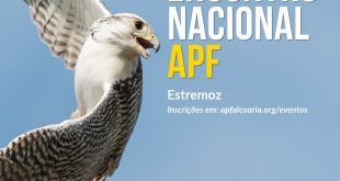 Encontro Nacional Associação Portuguesa de Falcoaria 2026