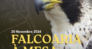 Falcoaria à Mesa