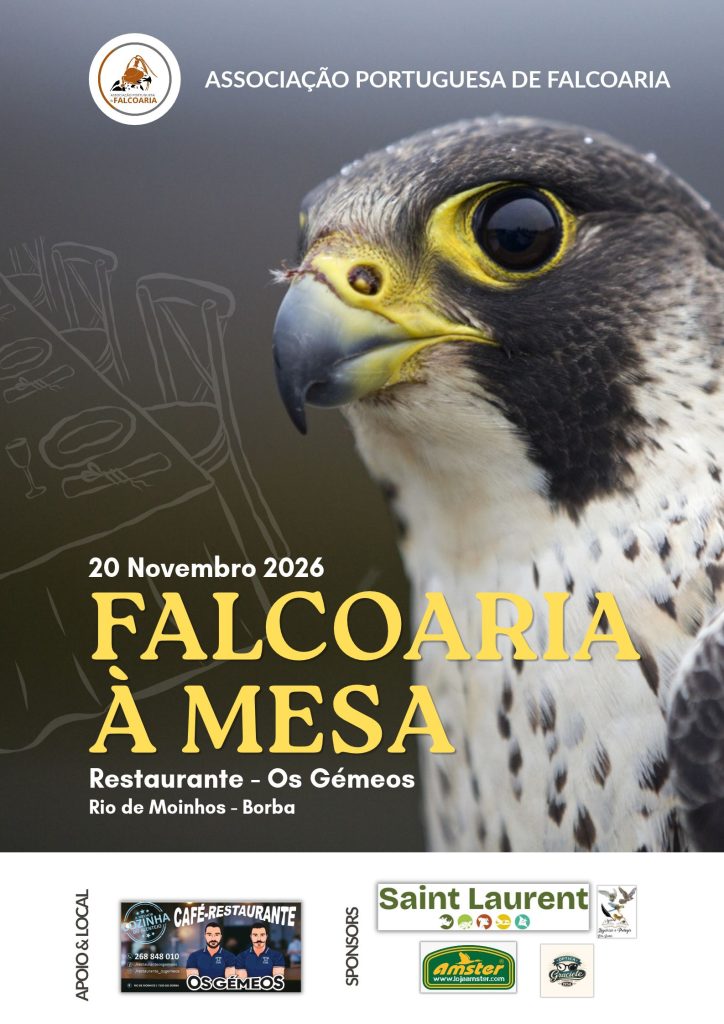 Falcoaria à Mesa